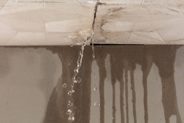 Professional Structural Drying technician working in Harrington, DE